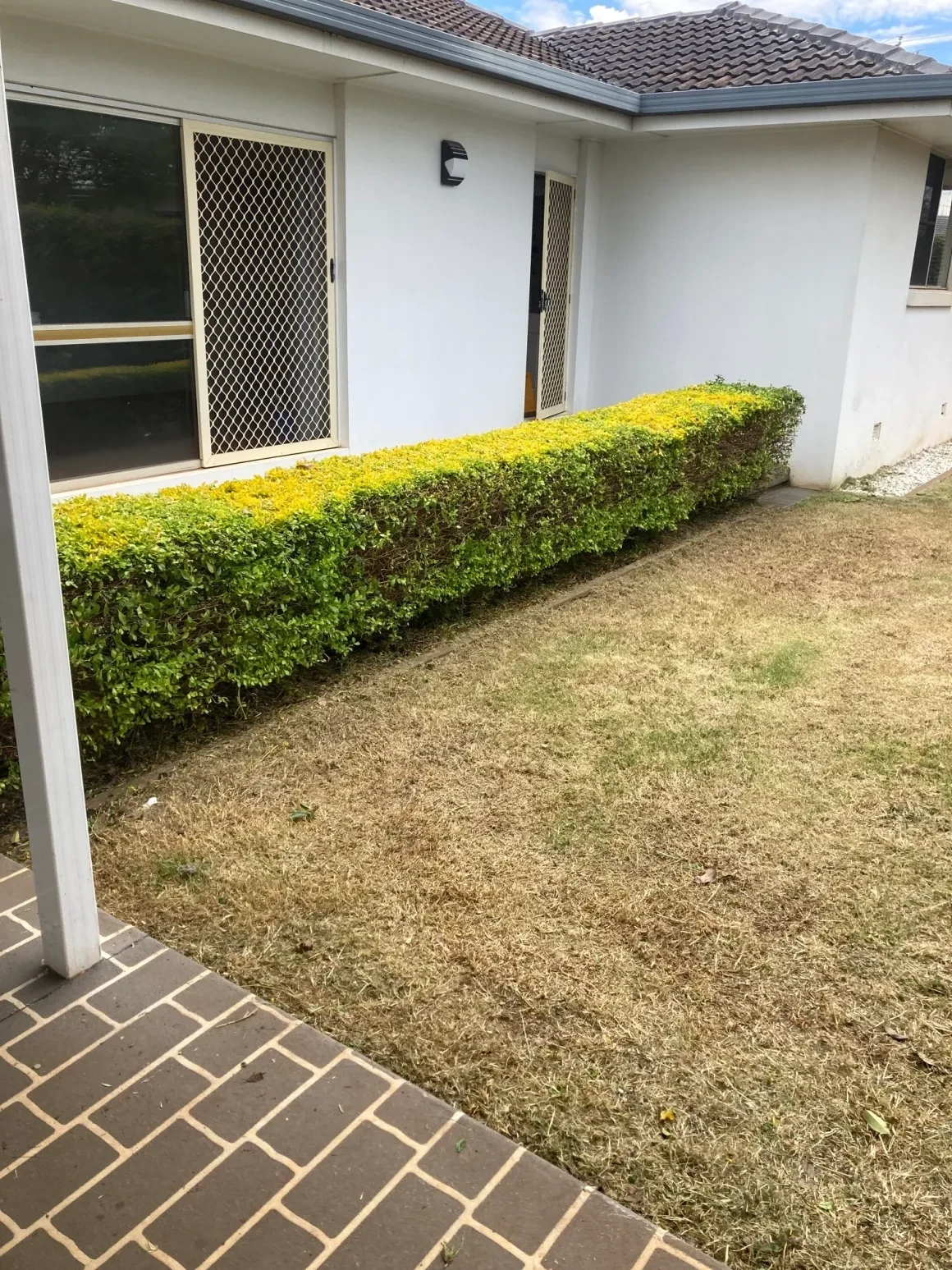 Blue weatherboard house exterior with garden