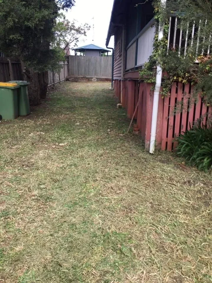 Residential backyard with fencing and outbuildings