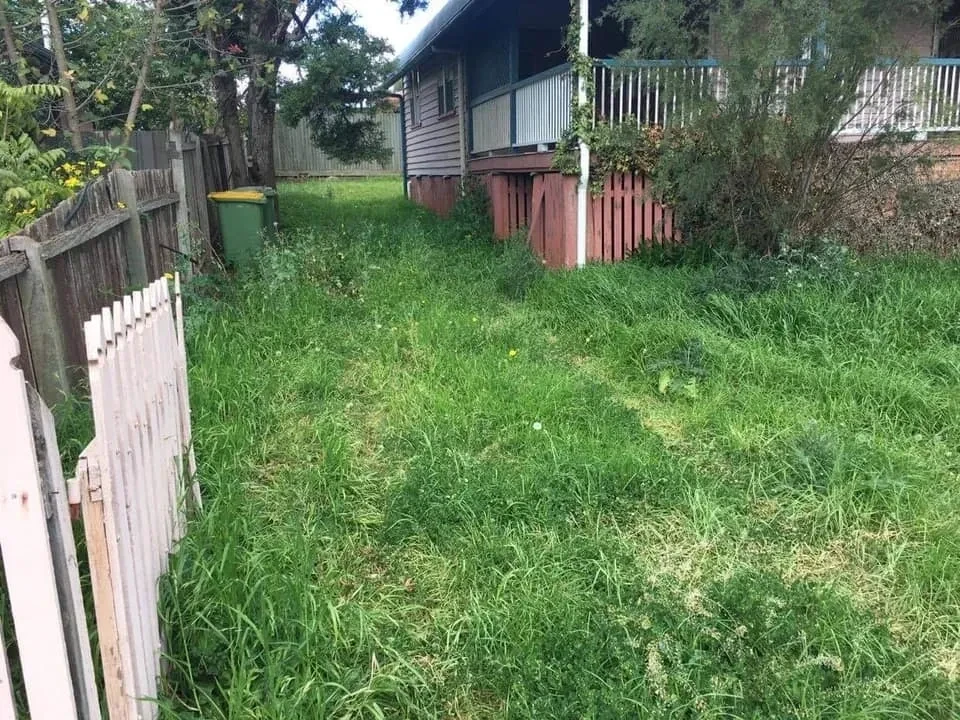 Backyard with overgrown grass and fencing